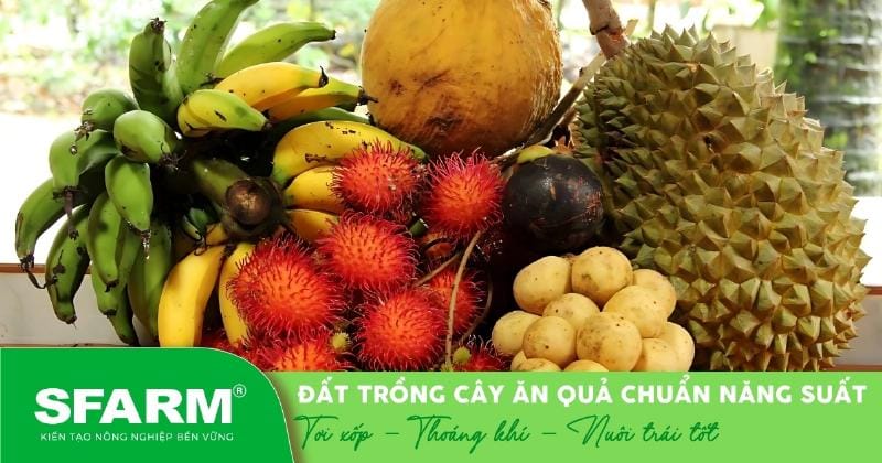 Cách cải tạo đất để trồng rau, bao gồm việc bổ sung phân hữu cơ và trộn đều đất